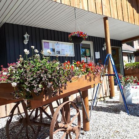Bollingso Camping Engesvang المظهر الخارجي الصورة