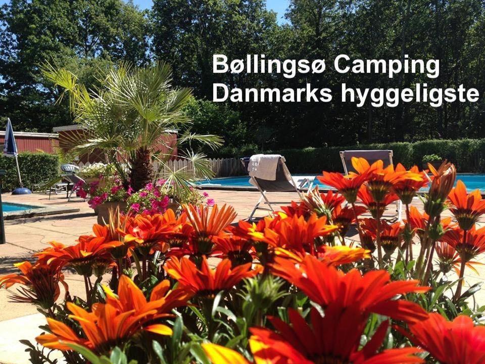 Bollingso Camping Engesvang المظهر الخارجي الصورة