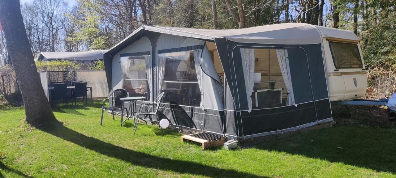 Bollingso Camping Engesvang المظهر الخارجي الصورة